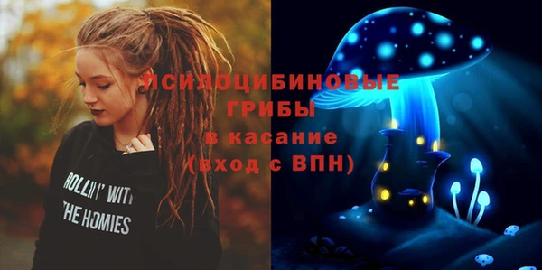 mdpv Богородицк