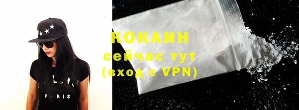 mdpv Богородицк