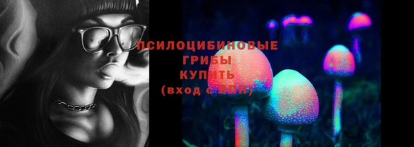 кокаин Богданович