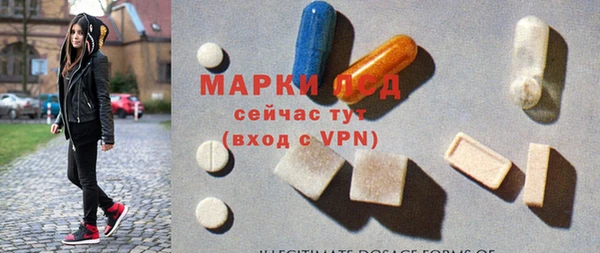 mdpv Богородицк
