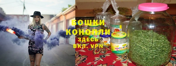 mdpv Богородицк