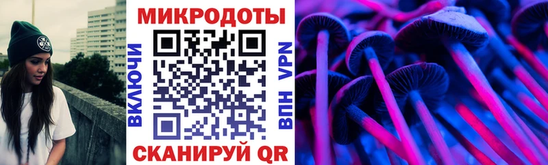 Галлюциногенные грибы Cubensis  дарк нет какой сайт  Кохма 